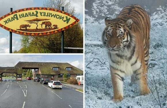 Tiger mauls mate to death during breeding at Merseyside safari park