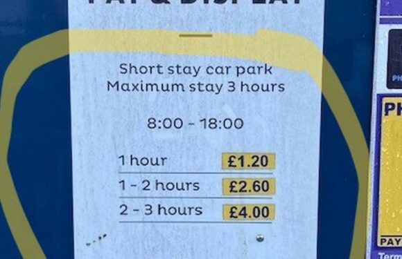Tourist hot-spot car park branded ‘thieves’ and ‘leeches’ as £100 fines given