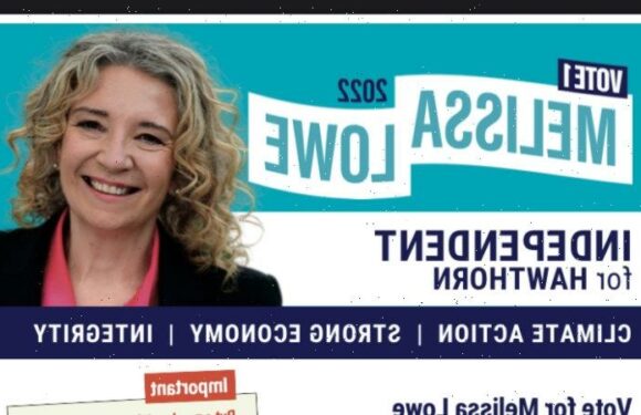 Tribunal overturns VEC ban on teal how-to-vote cards