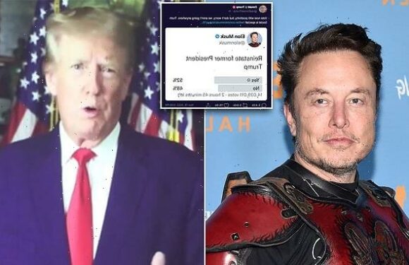 Trump says he is 'staying' on Truth Social, not coming back to Twitter