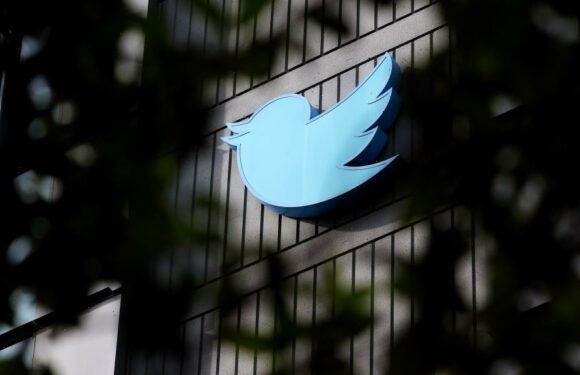 Twitter Halts Plans to Institute Subscription Model for Verification Check Marks Until After Election Day