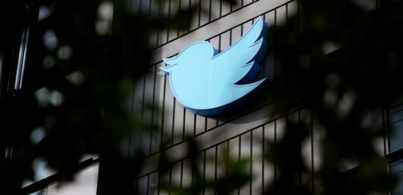 Twitter Halts Plans to Institute Subscription Model for Verification Check Marks Until After Election Day