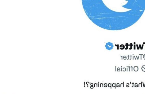 Twitter confuses things further with a new kind of verification tick