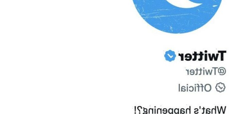 Twitter confuses things further with a new kind of verification tick