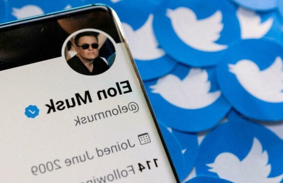 Twitter owner Elon Musk set to charge users for blue ticks in major shake-up