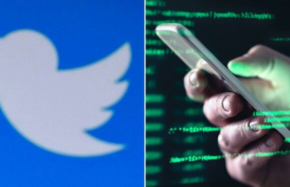 Twitter users warned to change passwords after 7million people hit by data leak