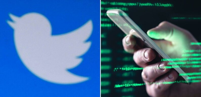 Twitter users warned to change passwords after 7million people hit by data leak