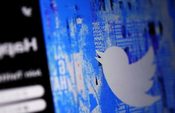 Twitter’s future may hinge on whether Musk can get out of the way