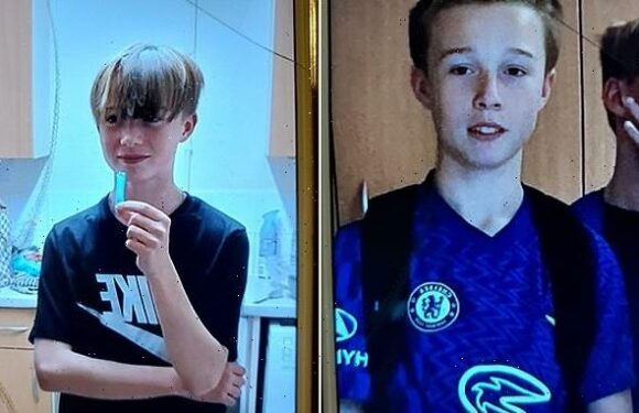 Two missing brothers, both 13, found 'safe and well' say police