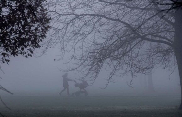 UK weather: Travel chaos with yellow fog warnings for huge parts of Britain to cause severe delays | The Sun