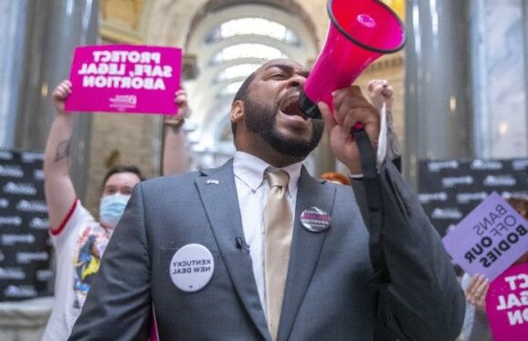 US midterms: Charts that explain what’s driving US voters