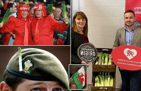 Welsh leeks are awarded Protected Geographical Indication status