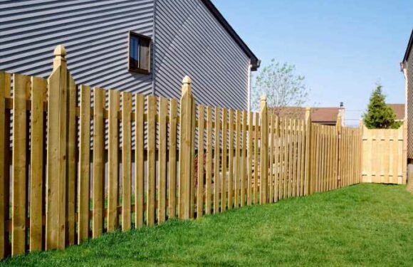 We’re garden experts – the easy way to tell who really owns your garden fence just by looking at it | The Sun