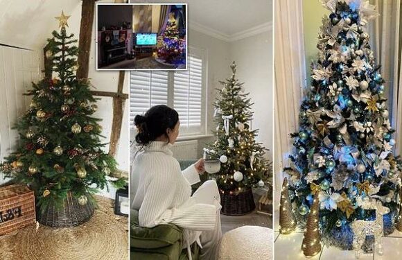What the timing of when you put decorations up says about personality