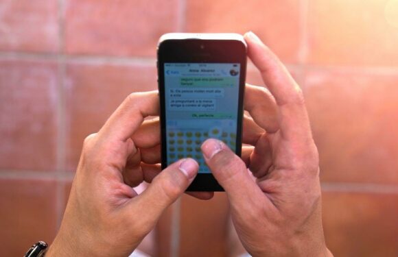 WhatsApp grey tick explained including key sign you’ve been blocked