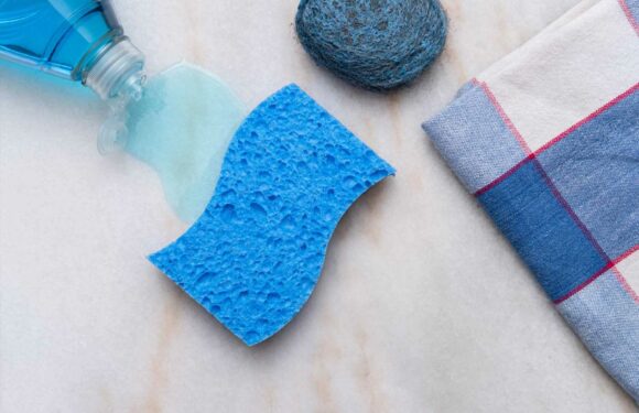 Which household items can I use as cleaning products? – The Sun | The Sun