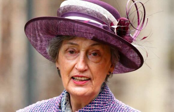 Who is Lady Susan Hussey? | The Sun