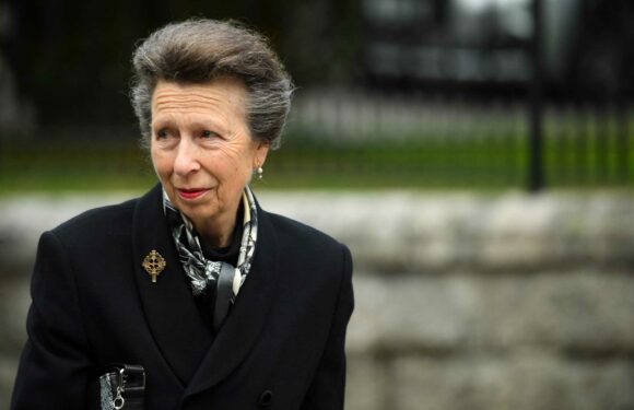 Who is Princess Anne? | The Sun