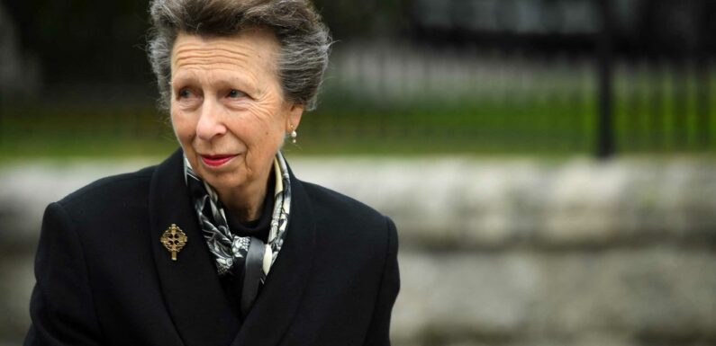Who is Princess Anne? | The Sun