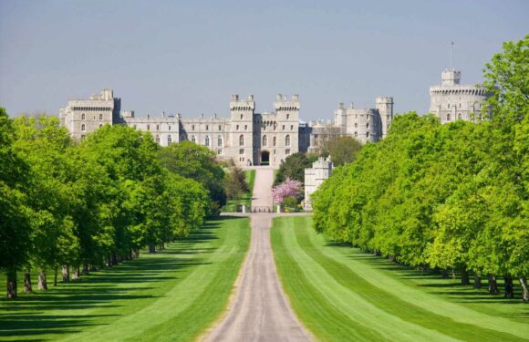Who lives at Windsor Castle and can I visit? | The Sun