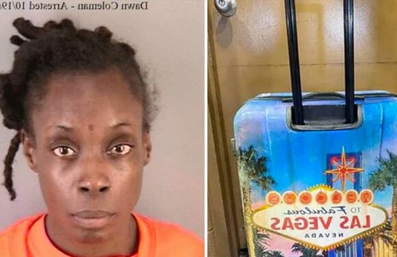 Woman Accused of Aiding In Murder of Boy Found Dead In Suitcase Admitted Dumping Body: Police