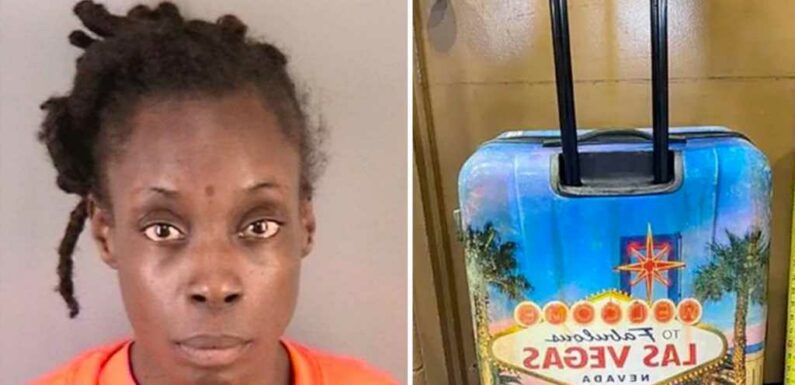 Woman Accused of Aiding In Murder of Boy Found Dead In Suitcase Admitted Dumping Body: Police