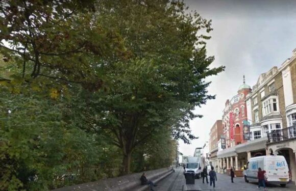 Woman in her 30s raped near Brighton's Pavilion Gardens as cops launch investigation | The Sun