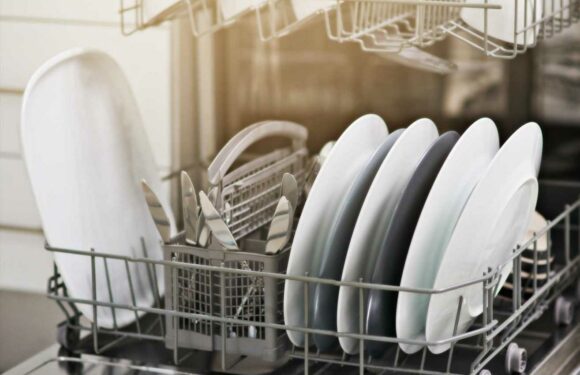 Woman totally divides opinion after revealing she washes her toilet brush in the dishwasher | The Sun