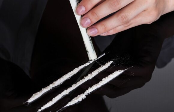 World’s first cocaine bar changes location every month to trick the cops