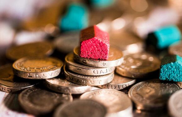 Your landlord could be fined £5,000 for mouldy or damp homes – rights for renters revealed | The Sun