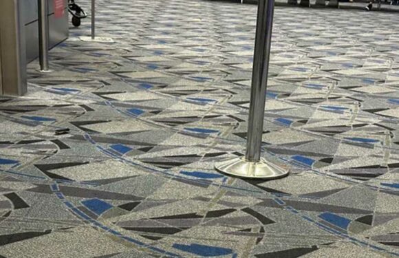 You’ve got the eyes of a hawk if you can spot the tiny skateboard camouflaged in this pic of a headache-inducing carpet | The Sun