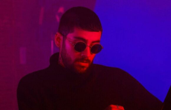 Zayn Malik Calls for Free School Meals in Open Letter to New British PM Rishi Sunak