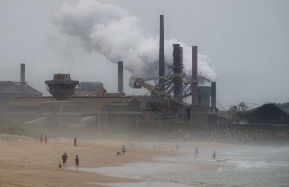 ‘Coal is not the problem’: Coal miners blame gas for soaring power prices