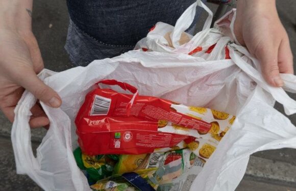 ‘Not what was advertised’: Supermarket plastic bag recycling program began to fail in 2018