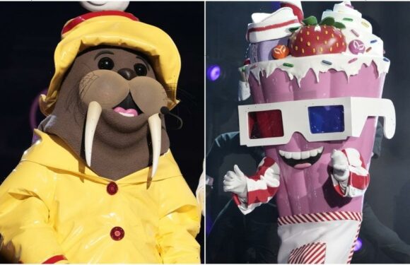 ‘The Masked Singer’ Reveals Identities of Walrus and Milkshake: Heres Who They Are