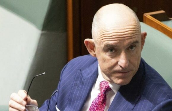 ‘Told him not to use the L word’: Firm taking advice from Robert denied being lobbyists