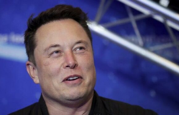 ‘Twitter will do lots of dumb things’, Musk warns after latest erratic move