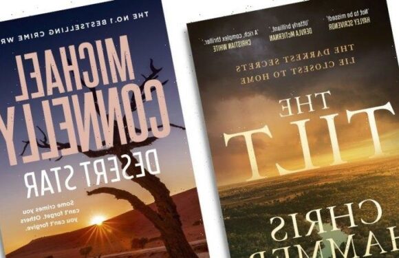 ‘Utterly gripping’: Two cold case novels from the very best in crime fiction