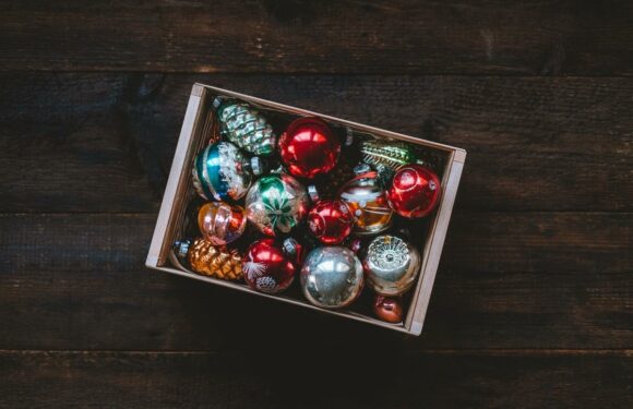 7 Holiday Decor Organizers to Make Cleanup and Storage Easy