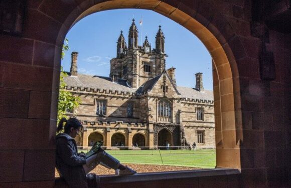 Academics warn of ‘arms race’ in contract cheating