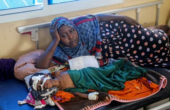 Africa's food crisis is the biggest yet – five reasons why