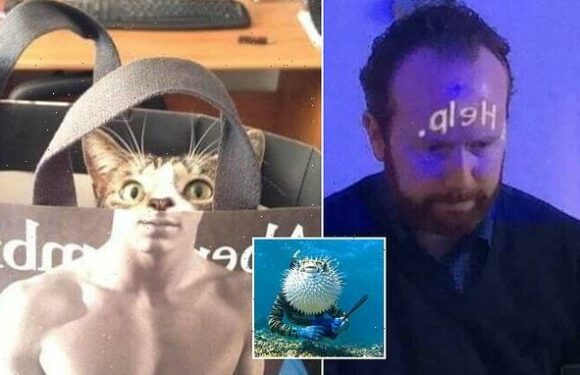 Amazingly-timed pictures create hilarious optical illusions