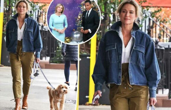 Amy Robach spotted for first time since GMA3 absence over T.J. Holmes romance