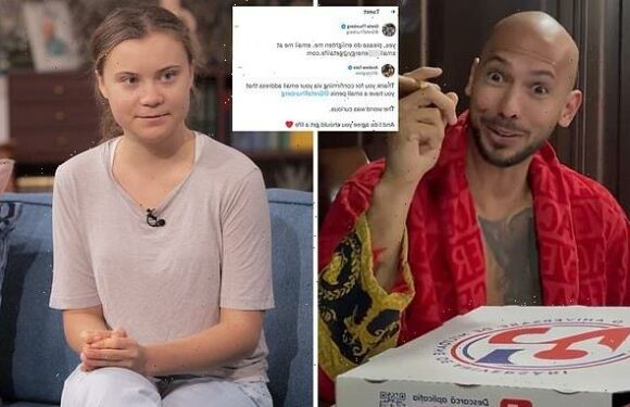 Andrew Tate 'cringe' over comeback to Greta's 'small d***' jibe
