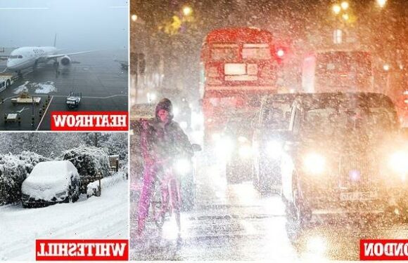 Arctic blast brings UK to halt: Gatwick CLOSES runway due to snow