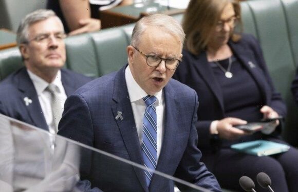 Australia news LIVE: Labor’s energy bill passes the Senate; new rules on who can call themselves a cosmetic surgeon