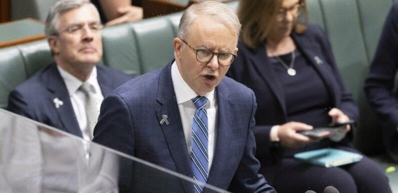Australia news LIVE: Labor’s energy bill passes the Senate; new rules on who can call themselves a cosmetic surgeon