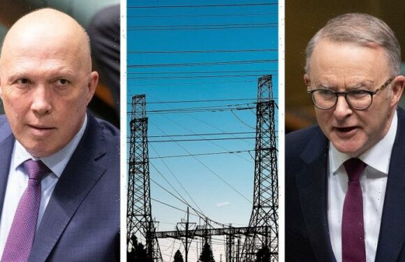 Australia news LIVE: Labor’s energy bill set to pass after Greens deal; Scott Morrison concedes robo-debt scheme was illegal