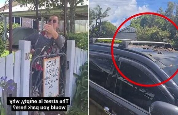 Australian woman dumps dog poo on car parked LEGALLY outside her home