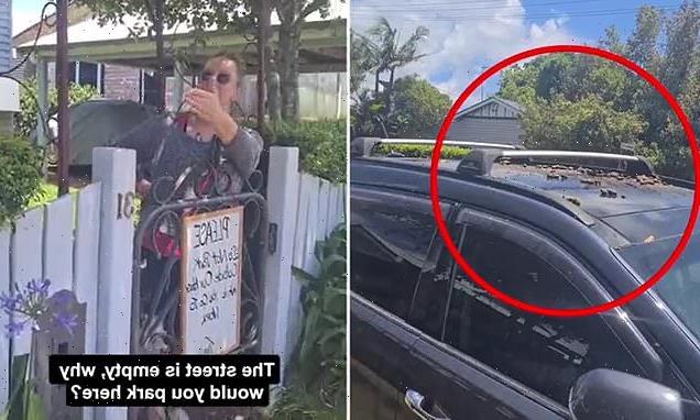 Australian woman dumps dog poo on car parked LEGALLY outside her home